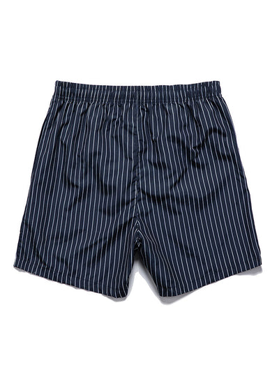 Seaside Striped Shirt & Swim Shorts